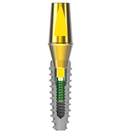 IB-Mini