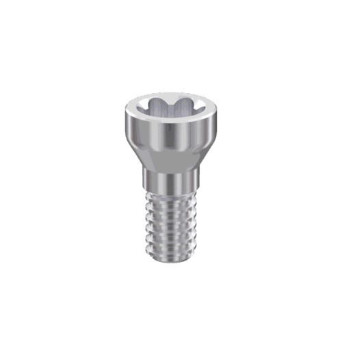 Премиум винт (ТОРКС6) TORX6 Д-тип | D-type
